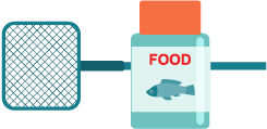 fish products and accessories